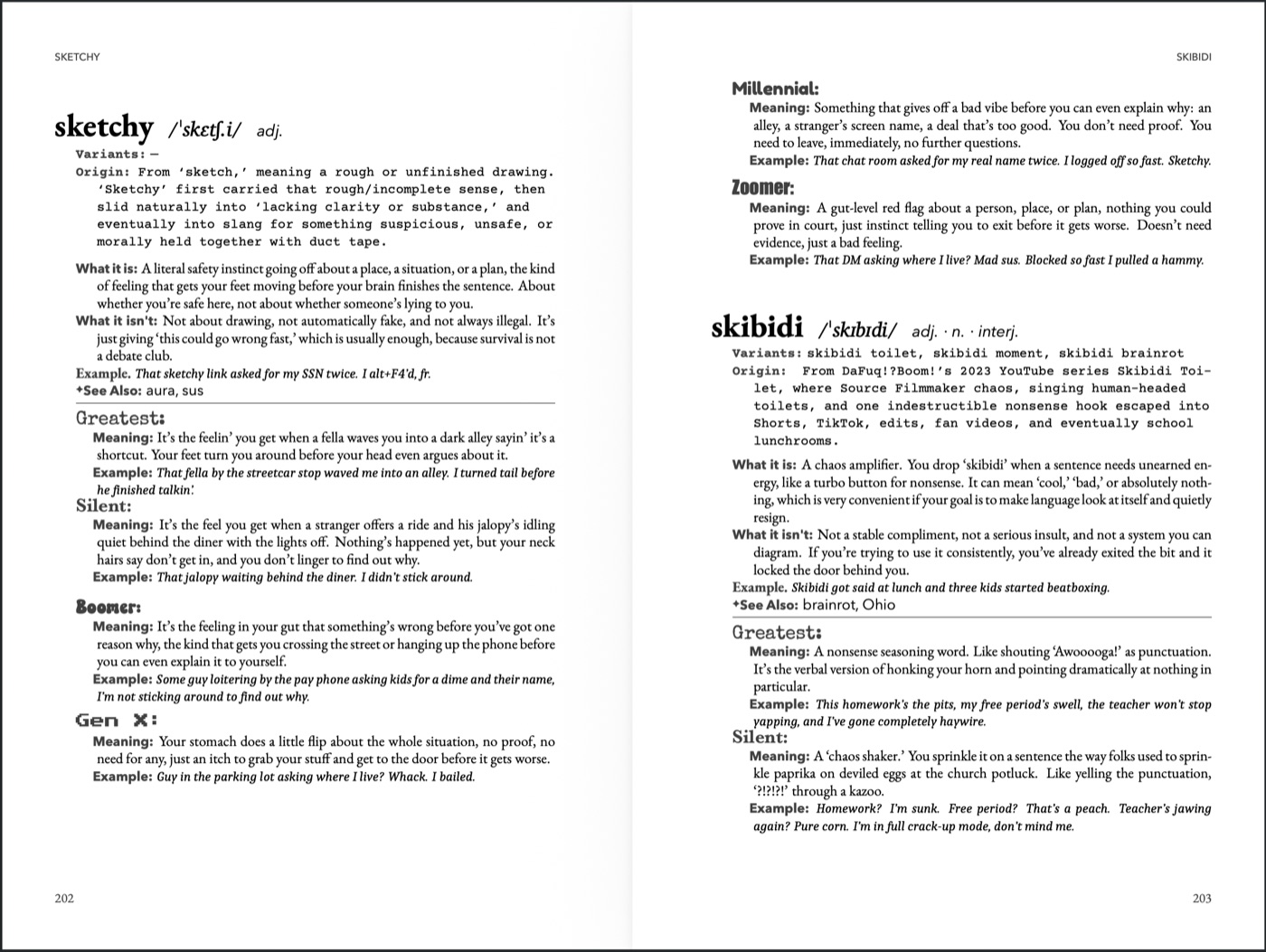 Sample entry: skibidi